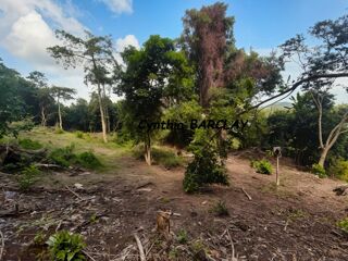  Terrain � vendre 2634 m�