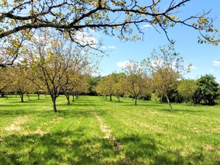  Maison � vendre 15 + pi�ces 319 m�