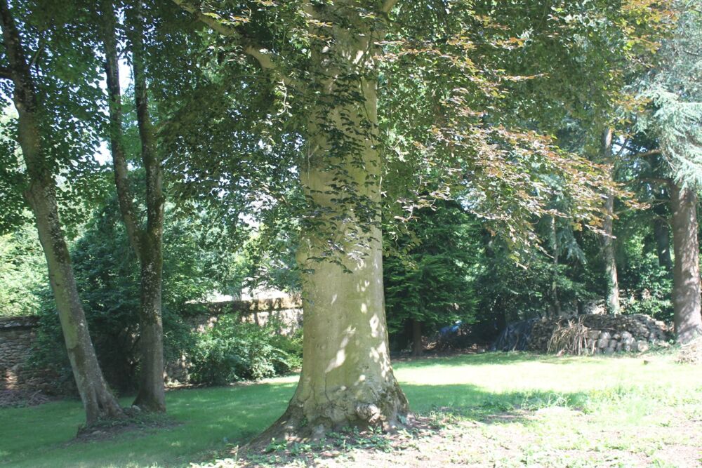  vendre  Proprit/chteau Guingamp (22200)