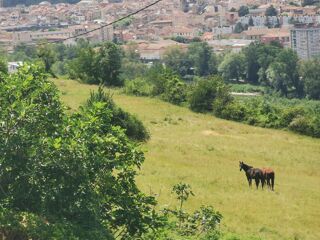  Maison � vendre 5 pi�ces 78 m�