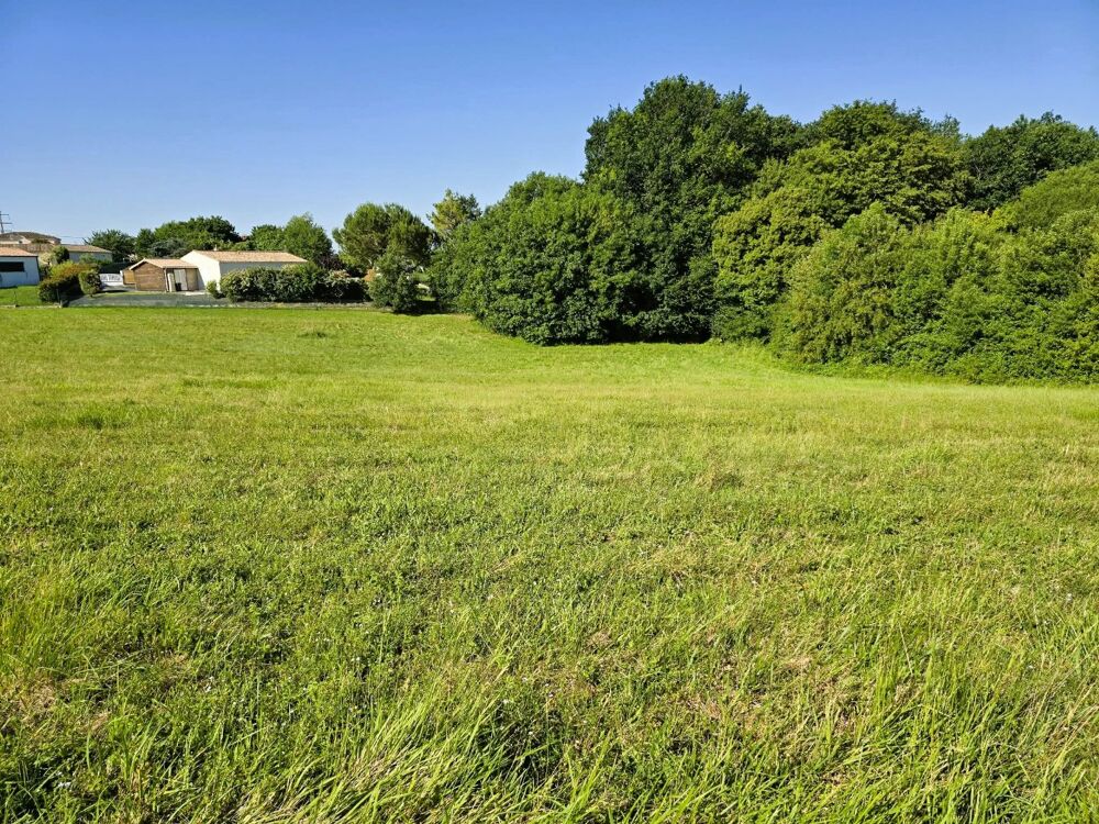 Vente Terrain Terrain Saintes