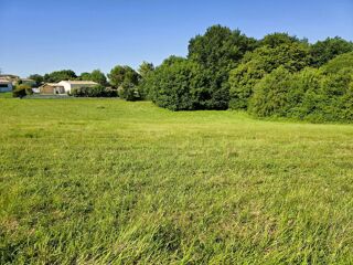  Terrain à vendre 3679 m²