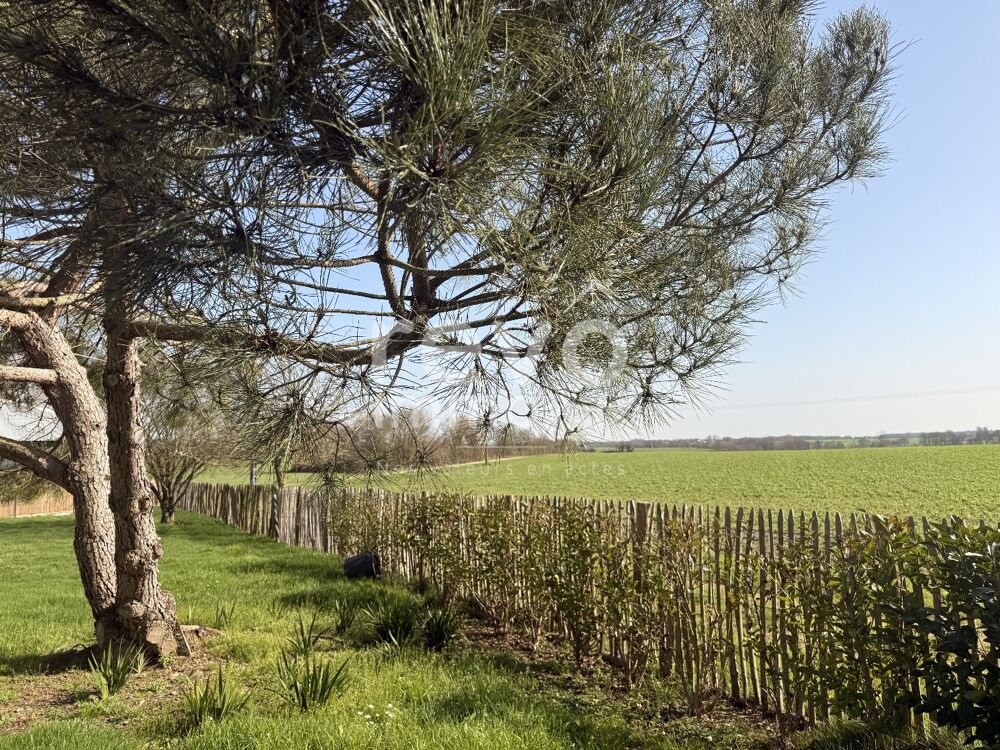 Longere