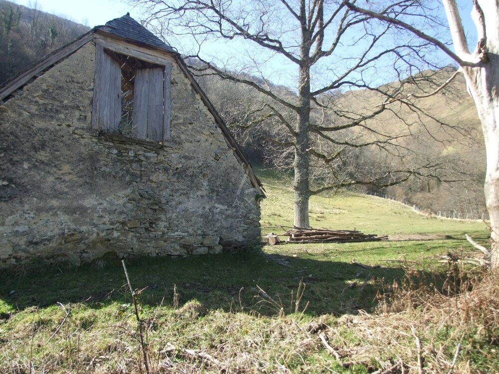 Vente Maison Grange Ourdis cotdoussan