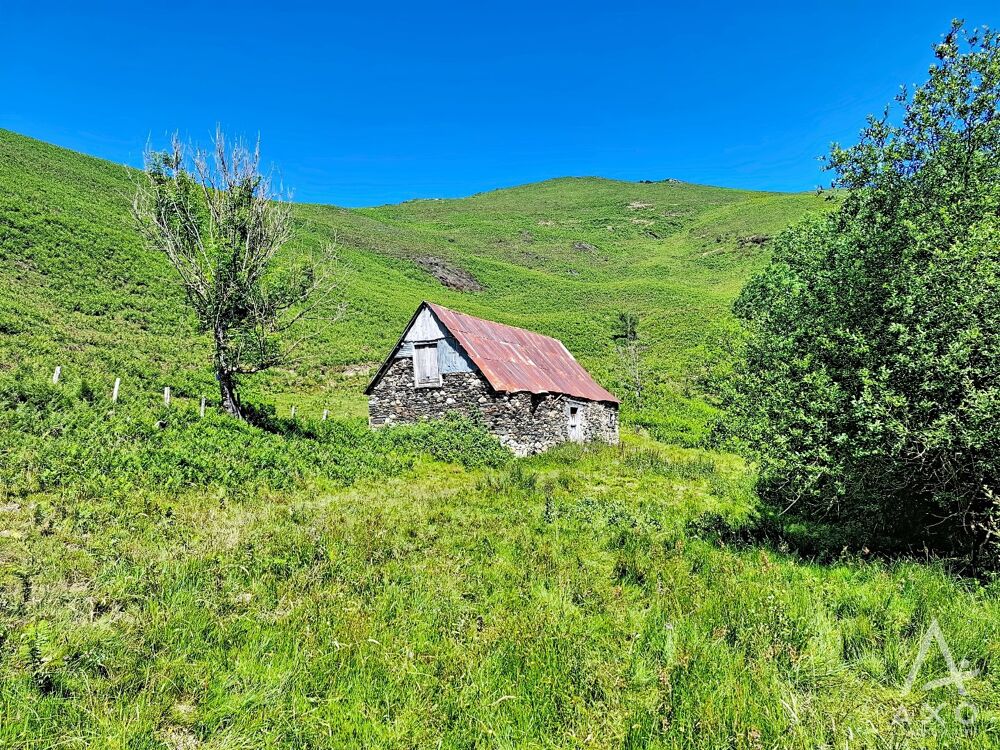 Vente Maison Grange Saint pastous