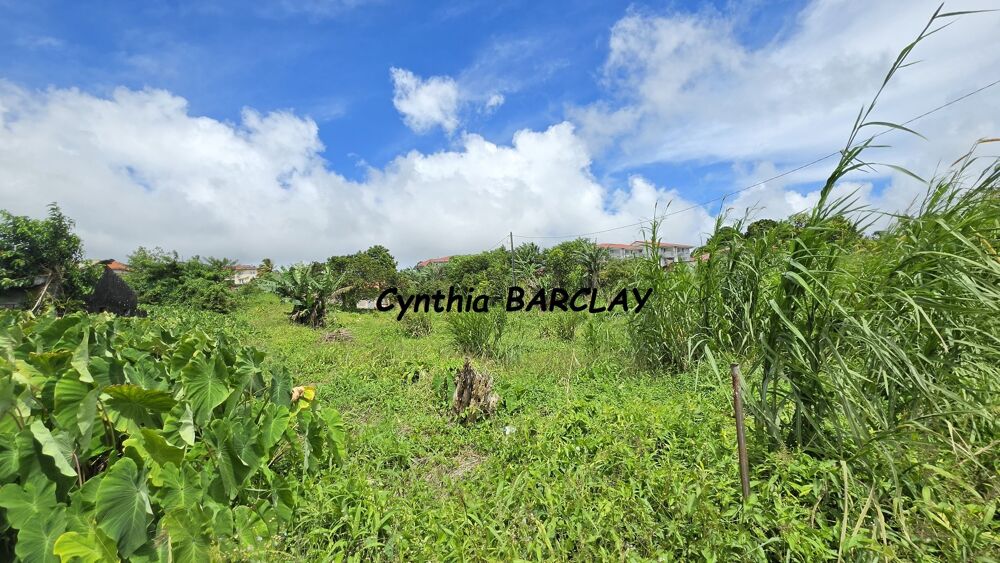 Vente Terrain Terrain Le morne rouge