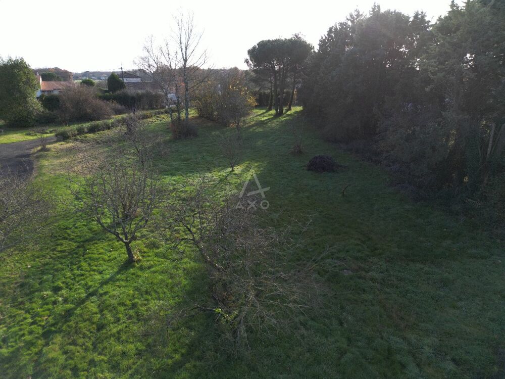 Vente Terrain Terrain Mignaloux beauvoir