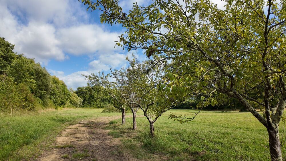 � vendre  Maison Peyrehorade (40300)