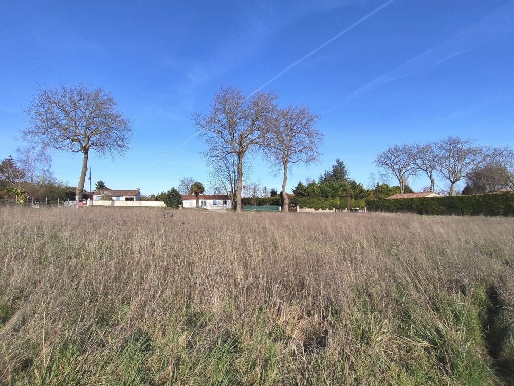 Vente Terrain Terrain constructible Ozillac