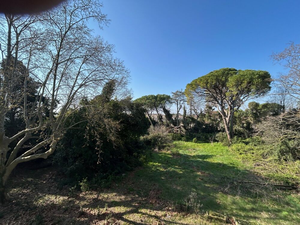 � vendre  Propri�t�/ch�teau Saint-Nazaire-de-P�zan (34400)