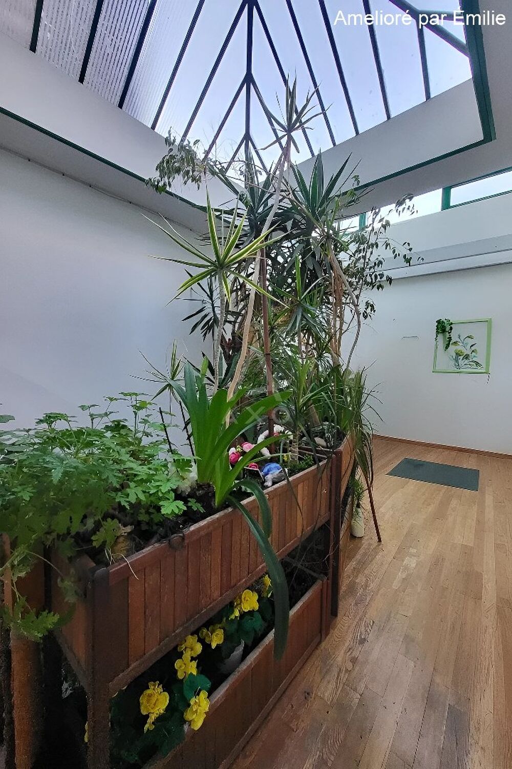 Vente Immeuble Immeuble Douai