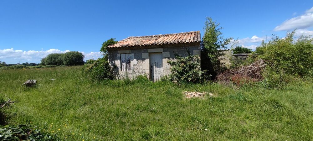 Vente Maison Maison à rénover Saint ciers sur gironde