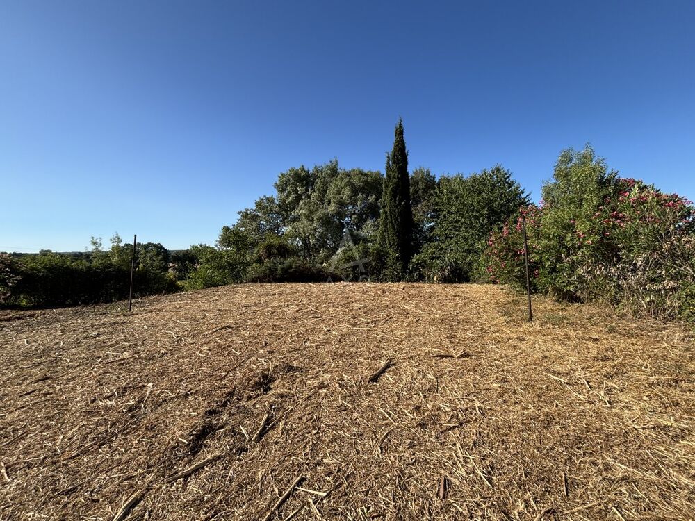 Vente Terrain Terrain constructible Villeneuve-les-bouloc