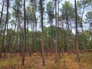  Terrain  vendre 56380 m