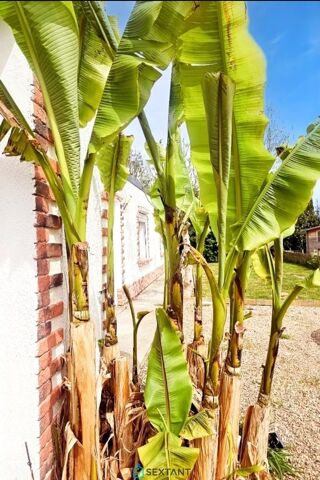  Maison  vendre 3 pices 75 m