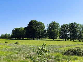  Maison � vendre 9 pi�ces 351 m�