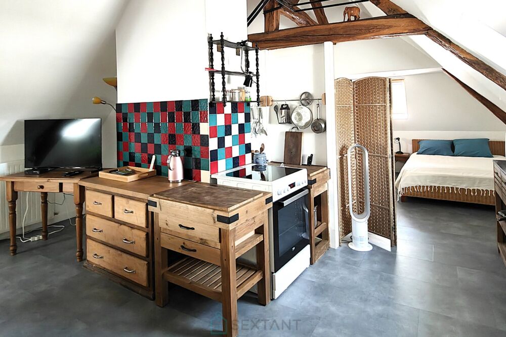 � vendre  Villa Ch�teau-la-Valli�re (37330)