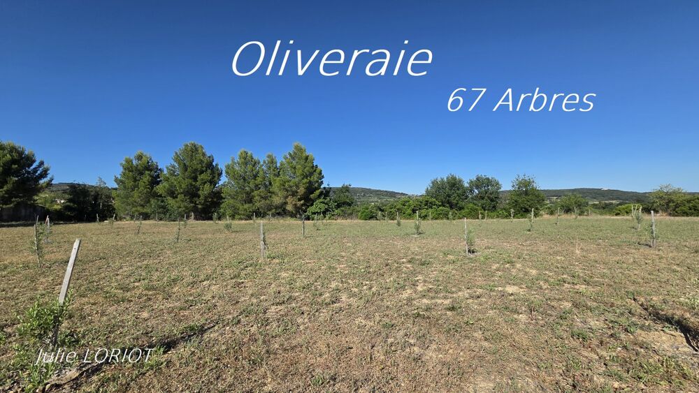 Vente Terrain Terrain agricole Neffies