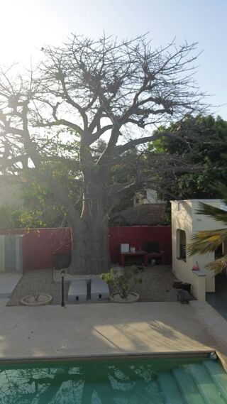  Maison � vendre 5 pi�ces 300 m� Ngaparou