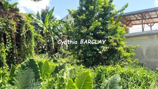  Terrain � vendre 245 m�