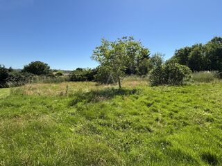  Terrain à vendre 1247 m²