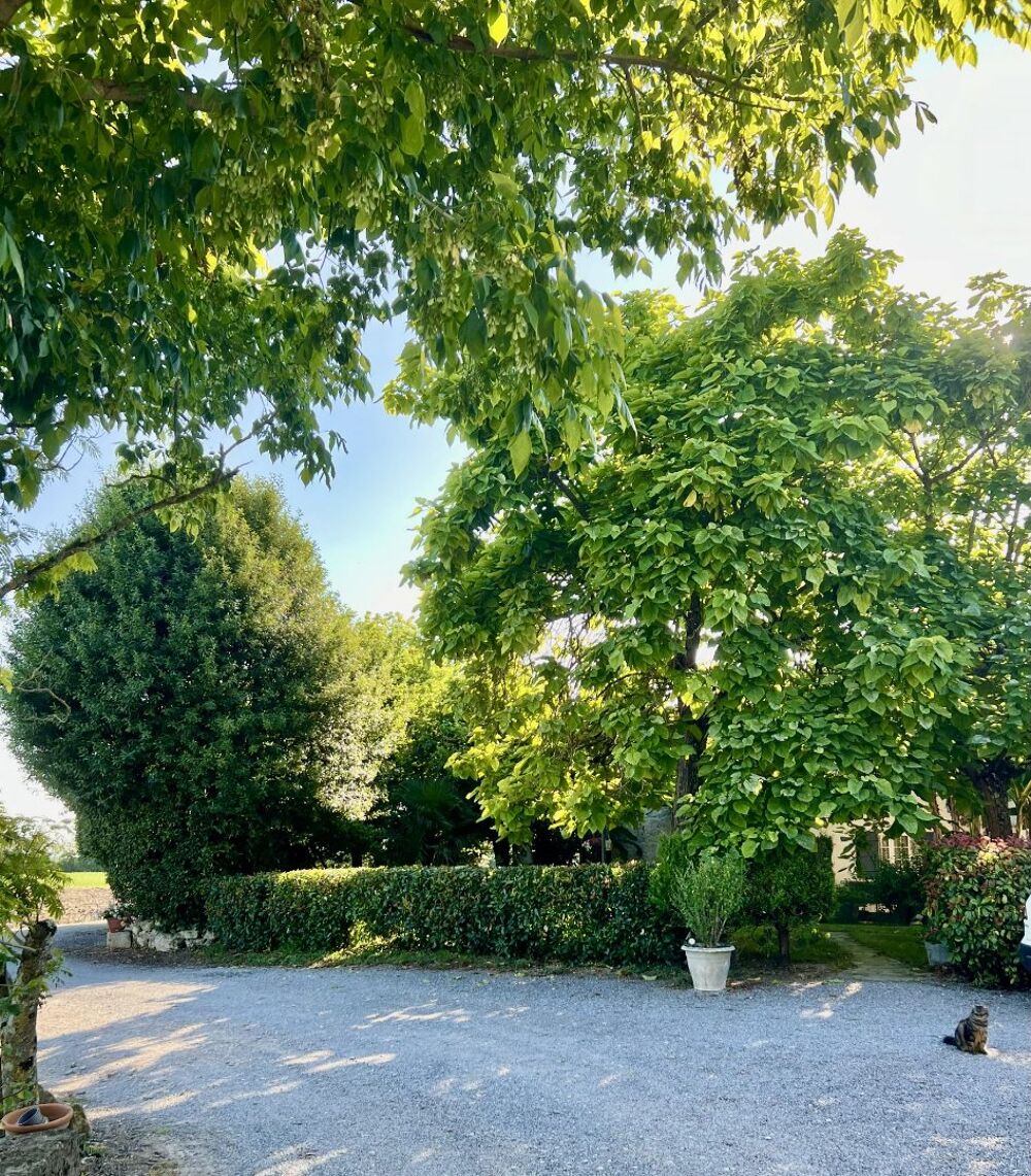 � vendre  Villa Parempuyre (33290)