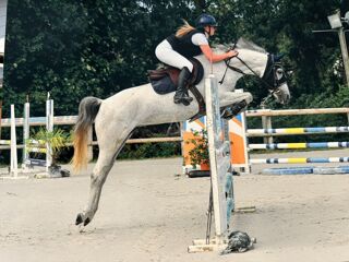  Maison � vendre 7 pi�ces 280 m�