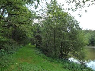  Terrain � vendre 41380 m�