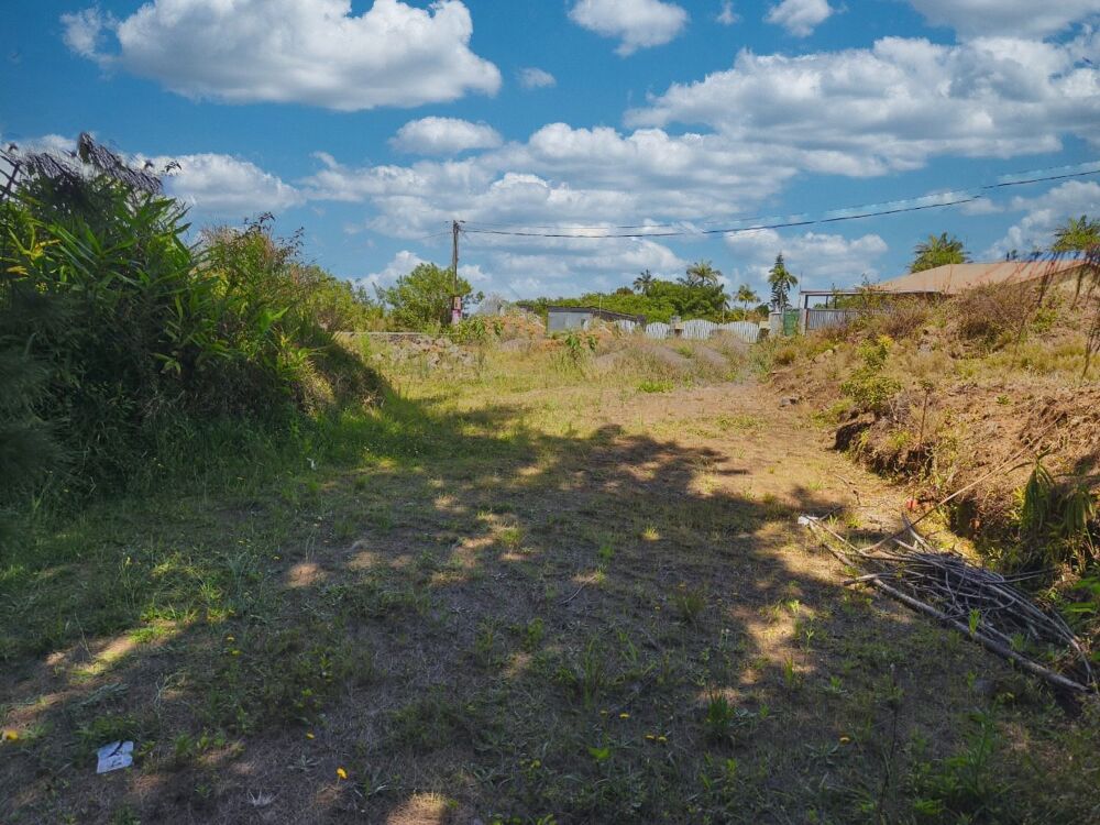 Vente Terrain Terrain Petite ile
