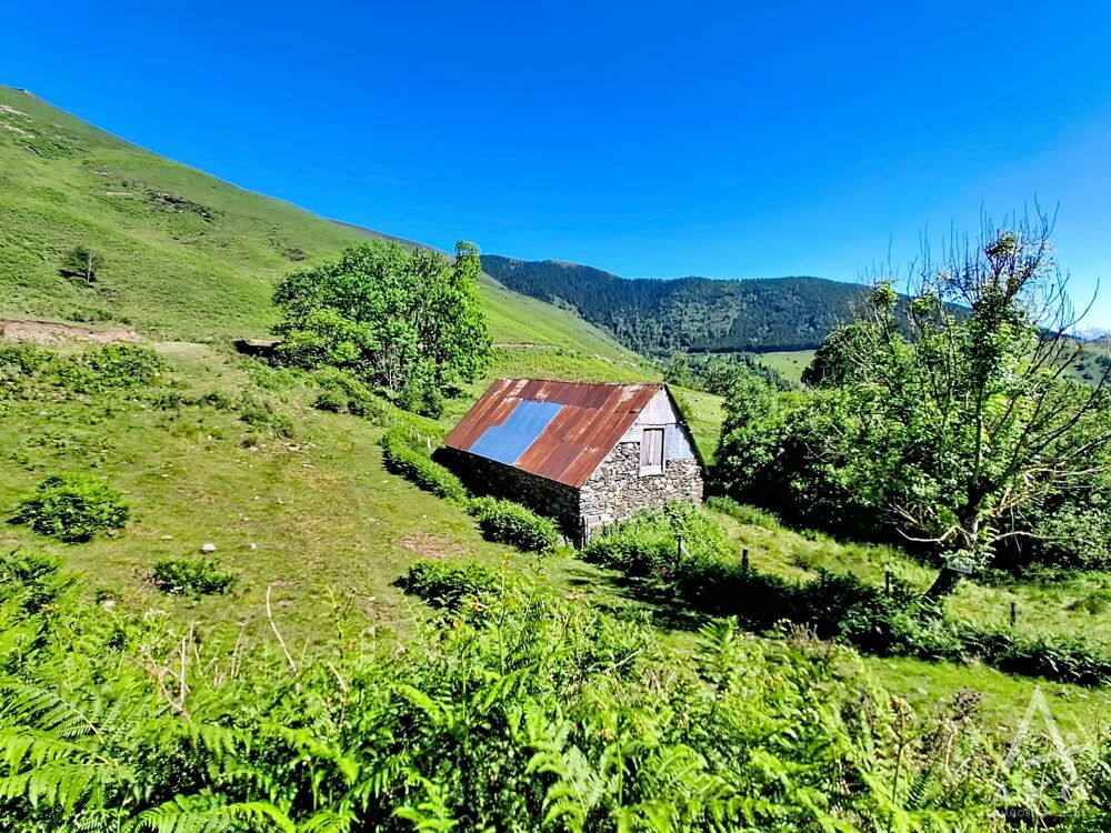 Vente Maison Grange Saint pastous