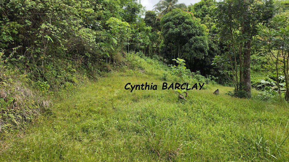Vente Terrain Terrain constructible Sainte luce