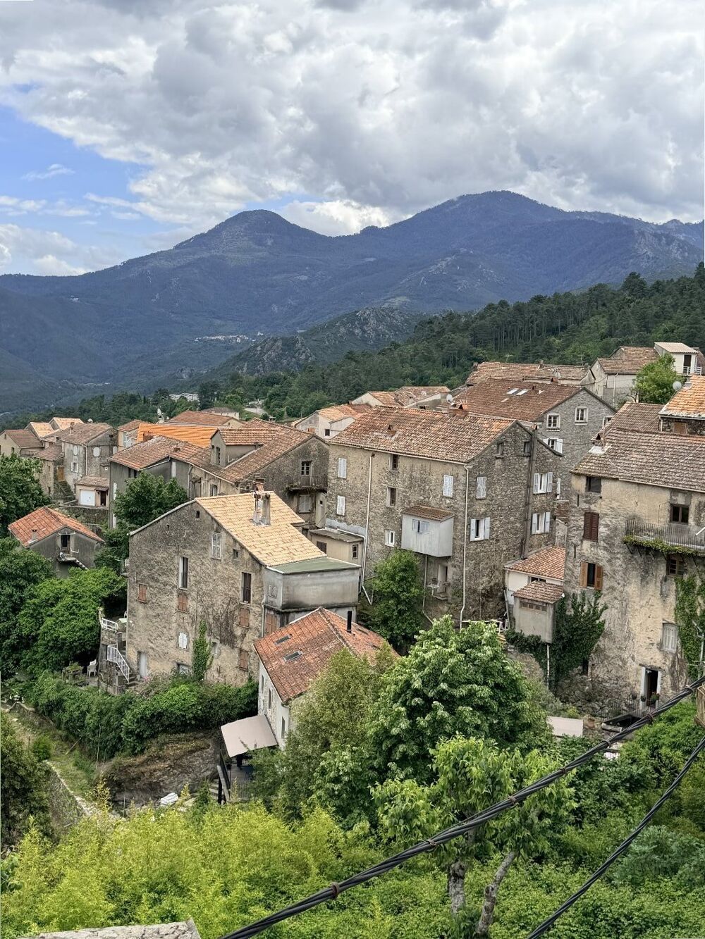 Vente Appartement Appartement Venaco