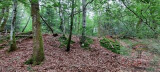  Terrain  vendre 9088 m