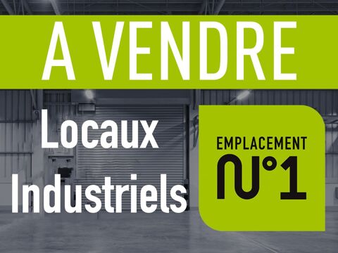 Local industriel 789000 69700 Saint romain en gier