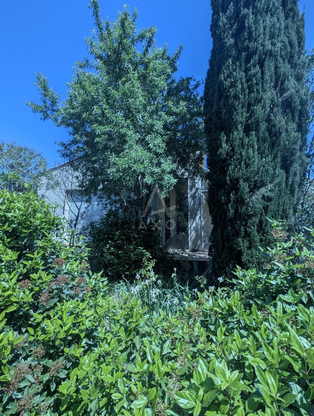 Maison et terrain