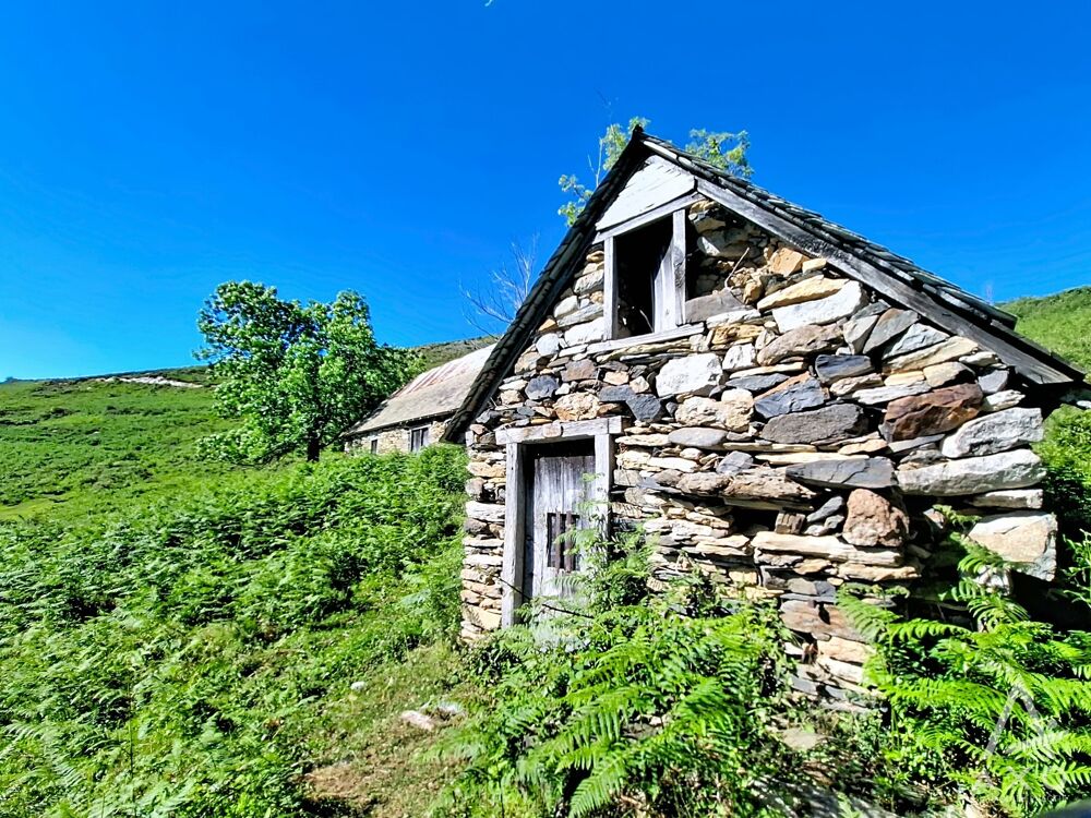 Vente Maison Grange Saint pastous