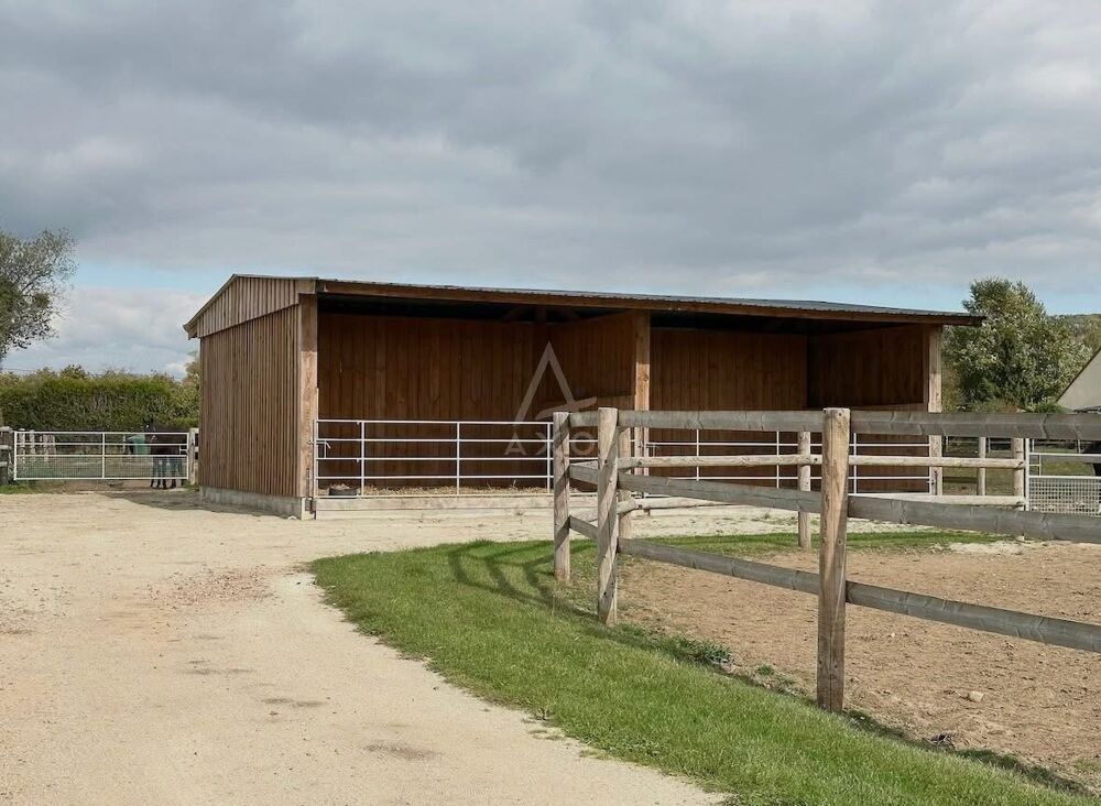 Vente Maison Haras / Equestre Crevecoeur en auge