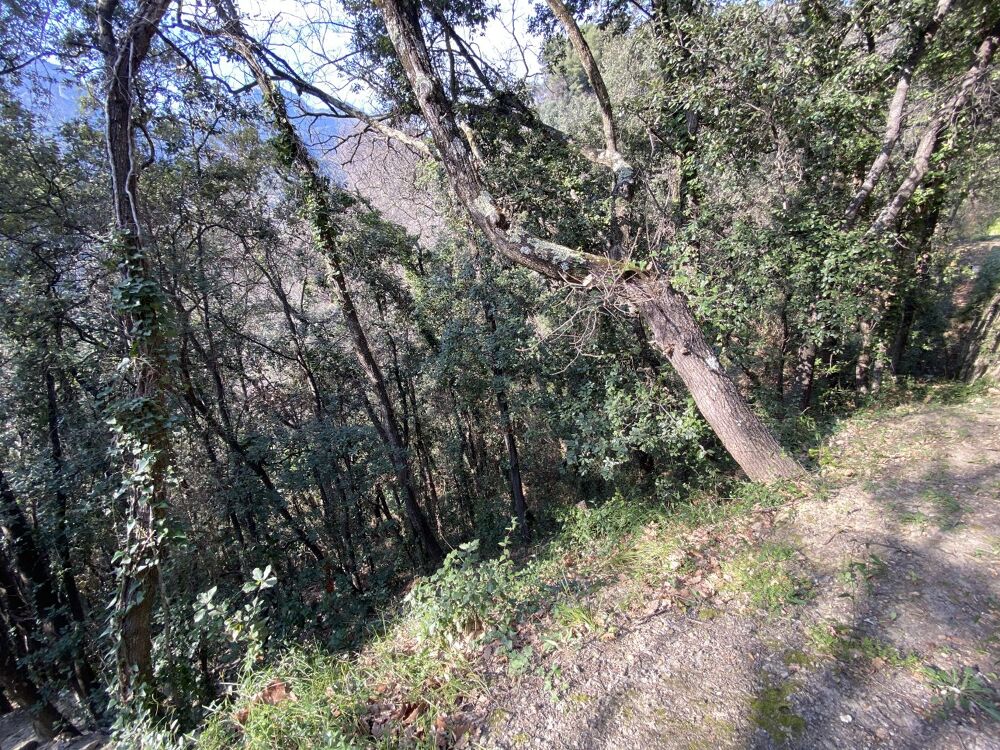 Vente Terrain Terrain Menton