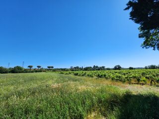 Terrain à vendre 