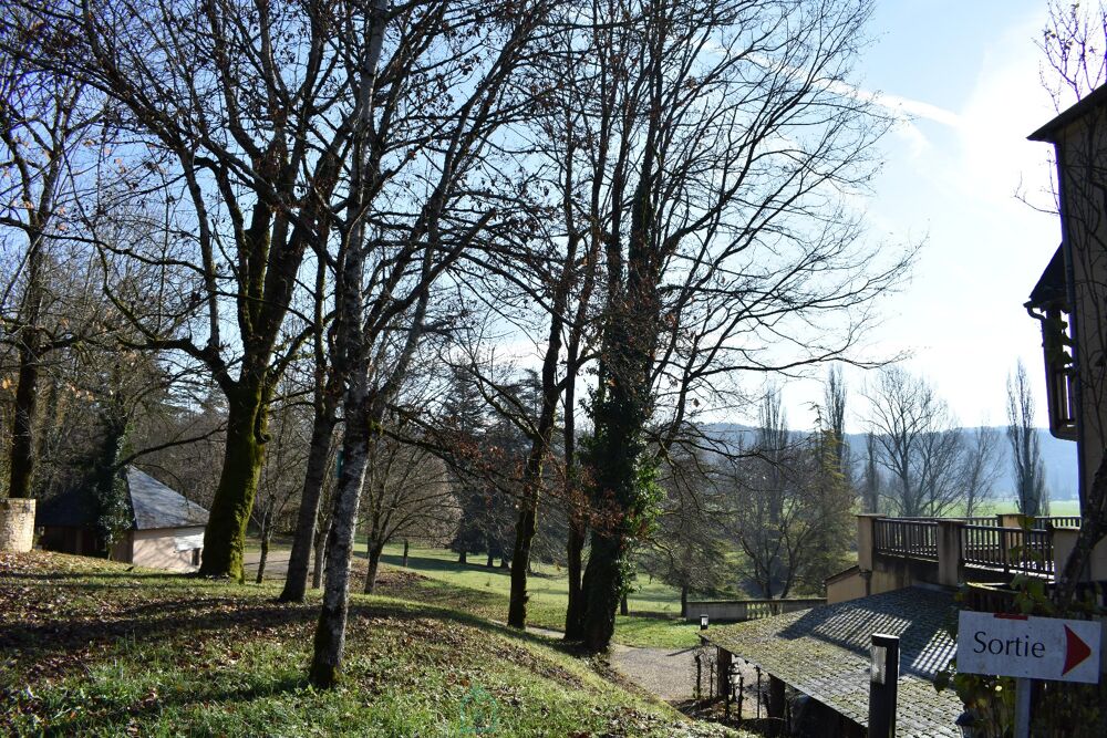 � vendre  Propri�t�/ch�teau Valojoulx (24290)