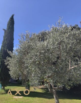  Terrain � vendre 6 pi�ces 1156 m�