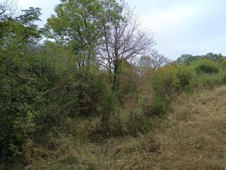  Terrain � vendre 33821 m�