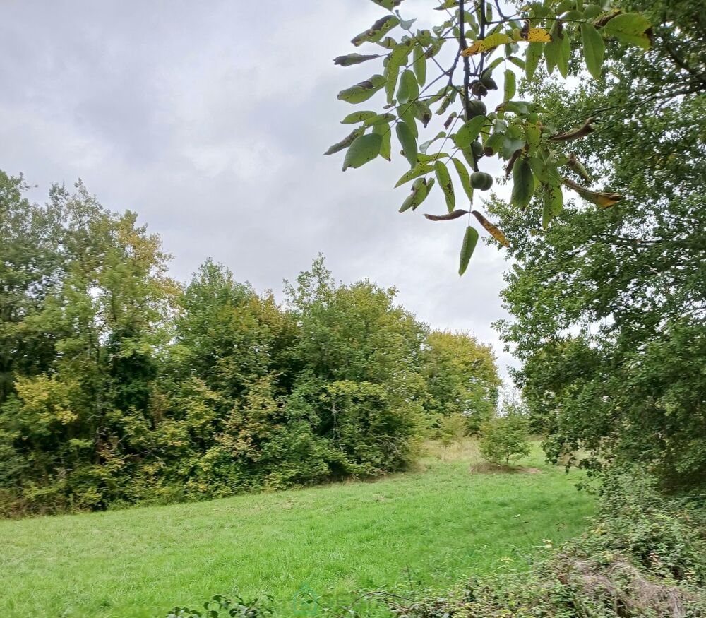 Vente Terrain Terrain constructible Riberac