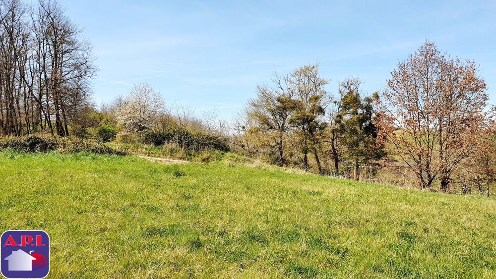 Vente Terrain Terrain Saverdun