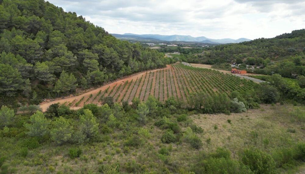 � vendre  Maison Saint-Chinian (34360)