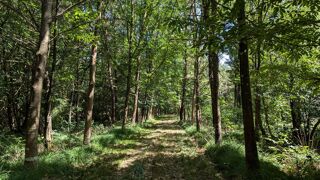  Maison � vendre 7 pi�ces 130 m�