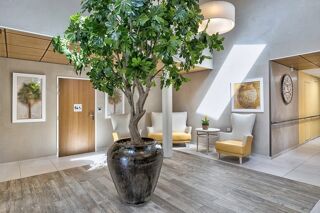  Appartement � vendre 1 pi�ce 20 m�