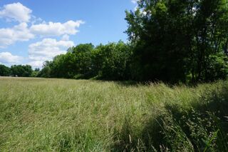  Terrain � vendre 29140 m�