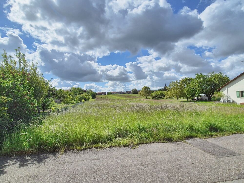 Vente Terrain Terrain constructible Servigny les sainte barbe