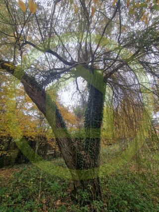  Terrain  vendre 1091 m